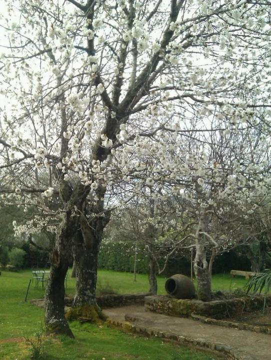 Puerto Roque Turismo Rural Villa Valencia de Alcántara Dış mekan fotoğraf